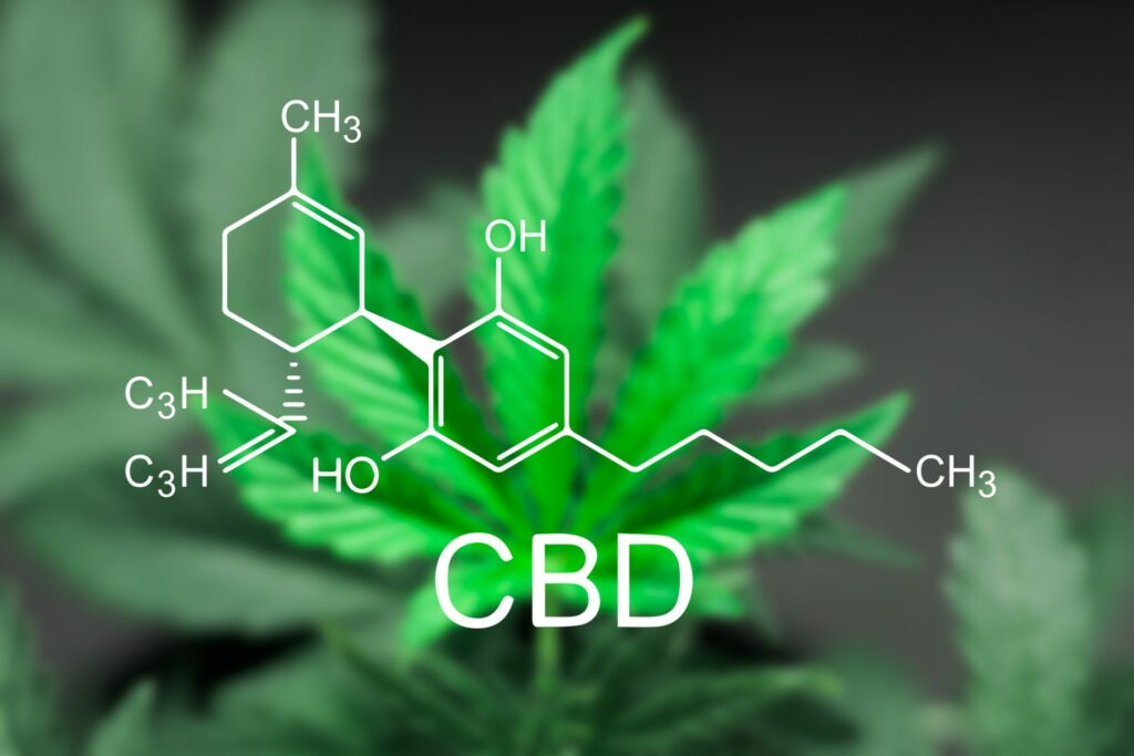 How Long does CBD stay in your System?