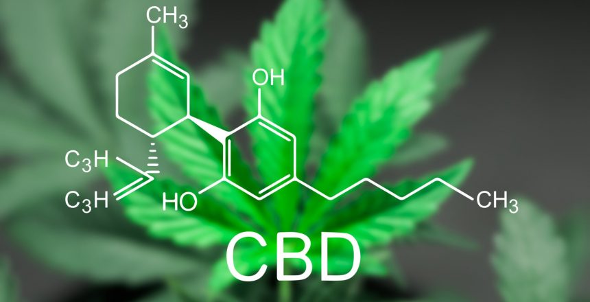 How Long does CBD stay in your System?
